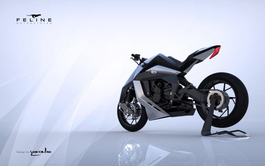 feline 800cc motorcycle 1.75 crore