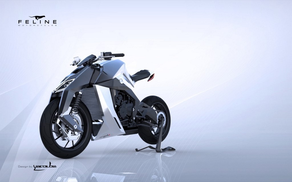 feline 800cc motorcycle carbon fibre