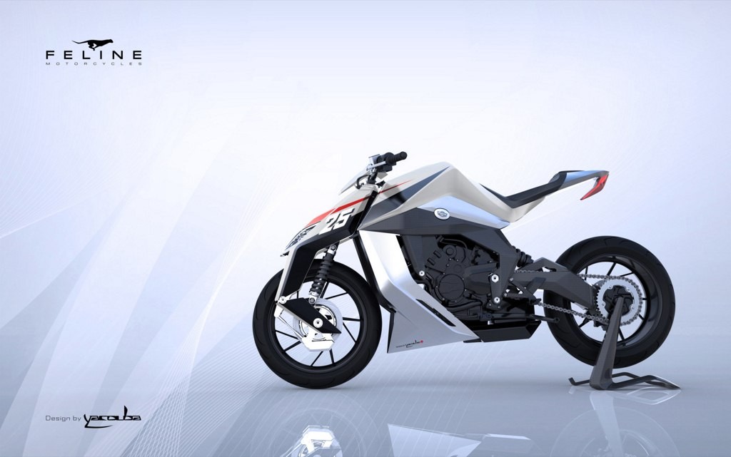 feline 800cc motorcycle price