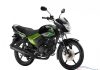 Yamaha Saluto Glory Green