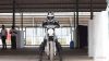 Royal Enfield Himalayan teased in india-4