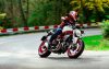 Ducati-Monster-797-2.jpg