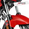 Xtreme 200 R Front Forks