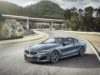 2019 BMW 8-Series Coupe Front