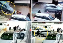 Customer Accidentally Shatters Display Car Through Glass Window In Hyundai Showroom