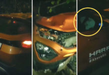 Another Tata Harrier Test Drive Vehicle Crashed