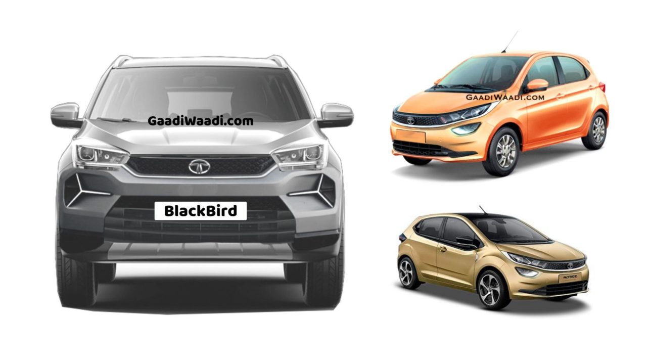 10 Tata Cars Slated For Soon Launch In India – Hornbill To Blackbird SUV