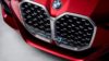 BMW Concept 4 Kidney Grille