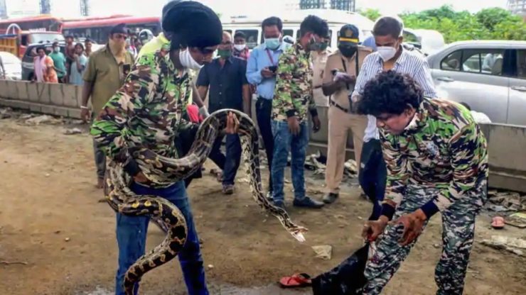 10 feet long snake causes traffic jam in Mumbai