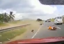 accident hit and run reckless driver