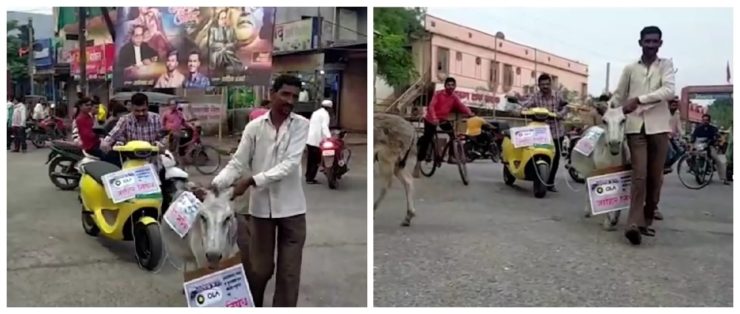 Angry Customer Ties Ola Scooter To Donkey, Marches Them Around Town