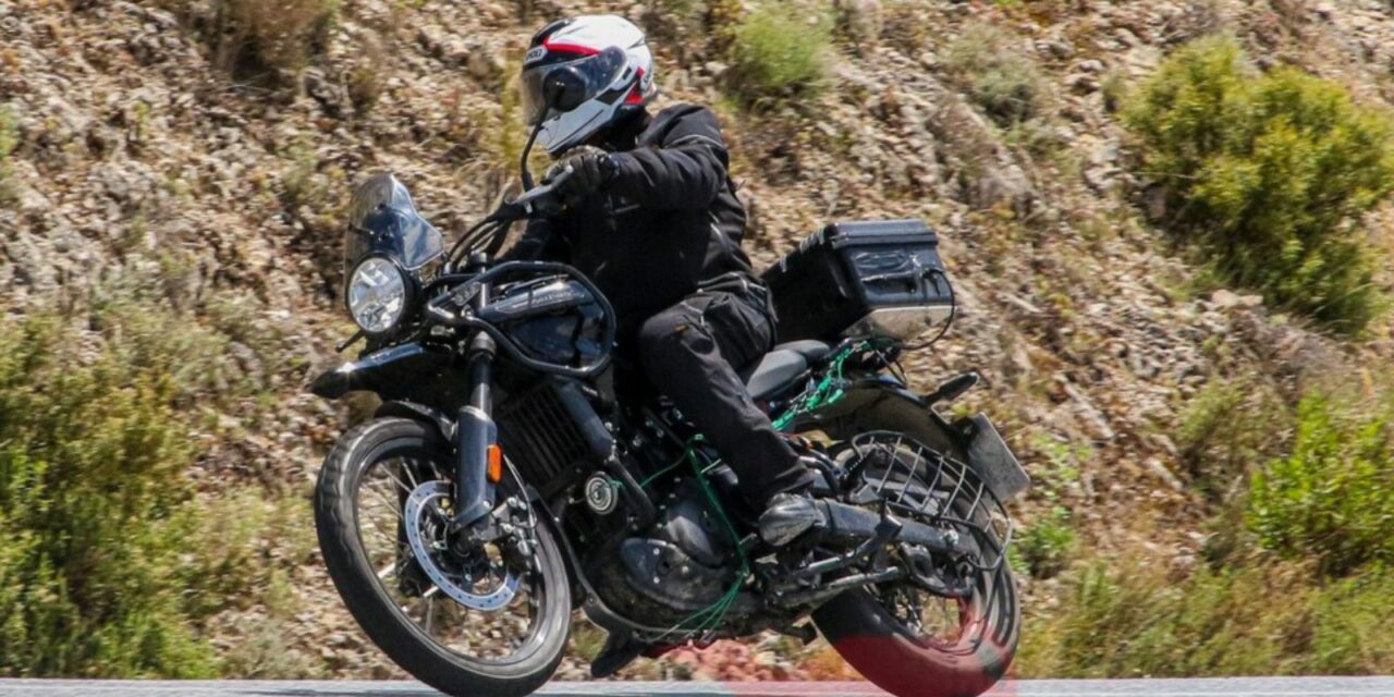 RE Himalayan 450 Spied